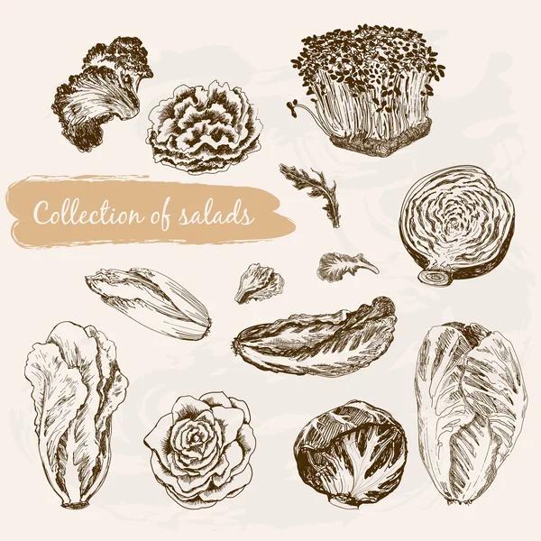 Collectie van salades — Stockvector