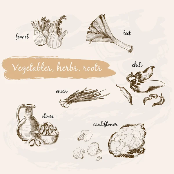 Gemüse, Kräuter und Wurzeln — Stockvektor