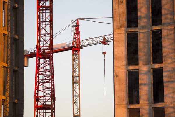 Byggeplass med kraner. – stockfoto