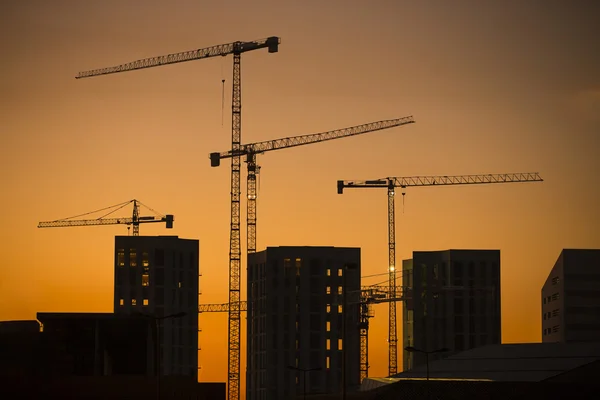 Краны на закате. Промышленные строительные краны и строительные силуэты над солнцем на рассвете . — стоковое фото