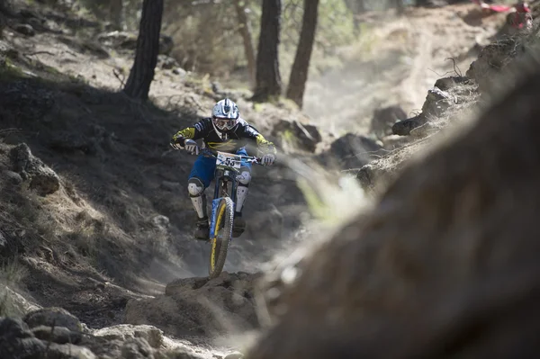 GRANADA, ESPAÑA - 25 DE OCTUBRE: Corredor desconocido en la competición de la mountain downhill bike "Cumbres Verdes, La Zubia" el 25 de octubre de 2012 en Granada, España — Foto de Stock