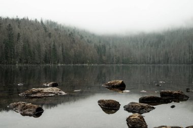 Black lake in fog at autumn, Sumava national park, Czech republic