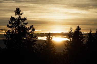 Filipova Hut, Sumava Ulusal Parkı, Çek Cumhuriyeti 'nde günbatımı ve ağaç siluetleri