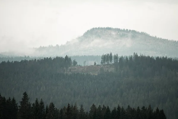 Ceață Dimineață Munții Sumava Pădure Deal Republica Cehă — Fotografie, imagine de stoc