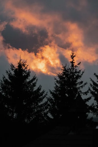 Večerní Obloha Západu Slunce Siluetách Stromů Národní Park Šumava Česká — Stock fotografie