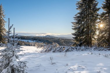 Zhuri 'de kış ve ağaçların arasından parlayan güneş Sumava dağları, Çek Cumhuriyeti