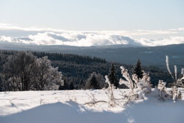Zhuri 'de kış, dağlar ve ağaçlar, Sumava ulusal parkı, Çek Cumhuriyeti manzarası