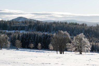 Zhuri 'de kış, dağlar ve ağaçlar, Sumava ulusal parkı, Çek Cumhuriyeti manzarası