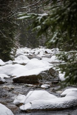 Kış Vydra nehri ve karların altındaki taşlar, Sumava milli parkı
