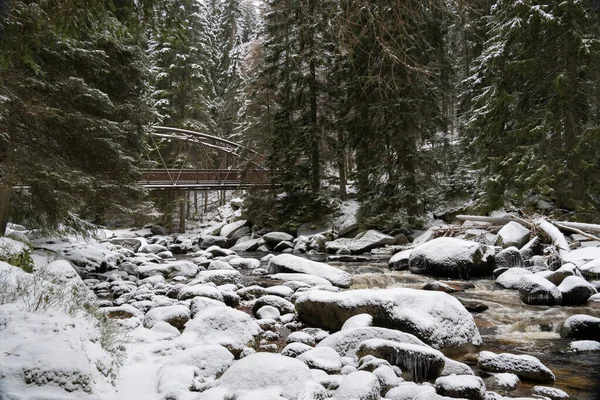 Inverno rio Vydra e pedras sob a neve, Sumava parque nacional — Fotografia de Stock