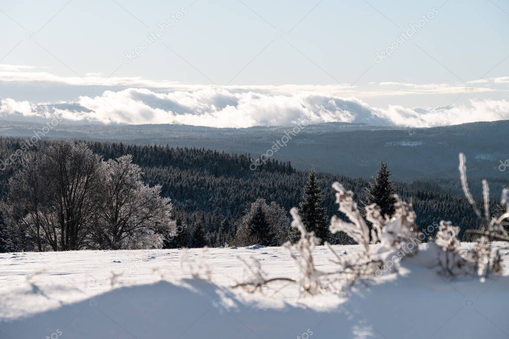 Winter at Zhuri, view on the mountains and trees, Sumava national park, Czech republic