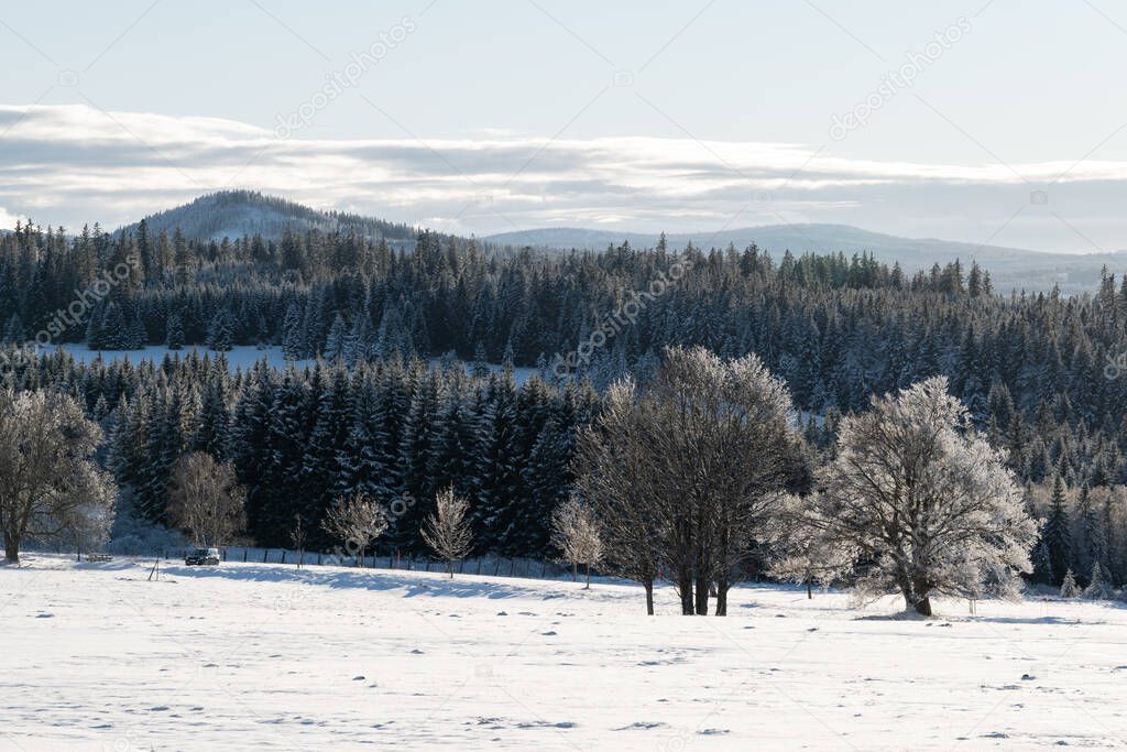 Winter at Zhuri, view on the mountains and trees, Sumava national park, Czech republic