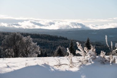 Zhuri 'de kış, dağlar ve ağaçlar manzaralı, Sumava milli parkı