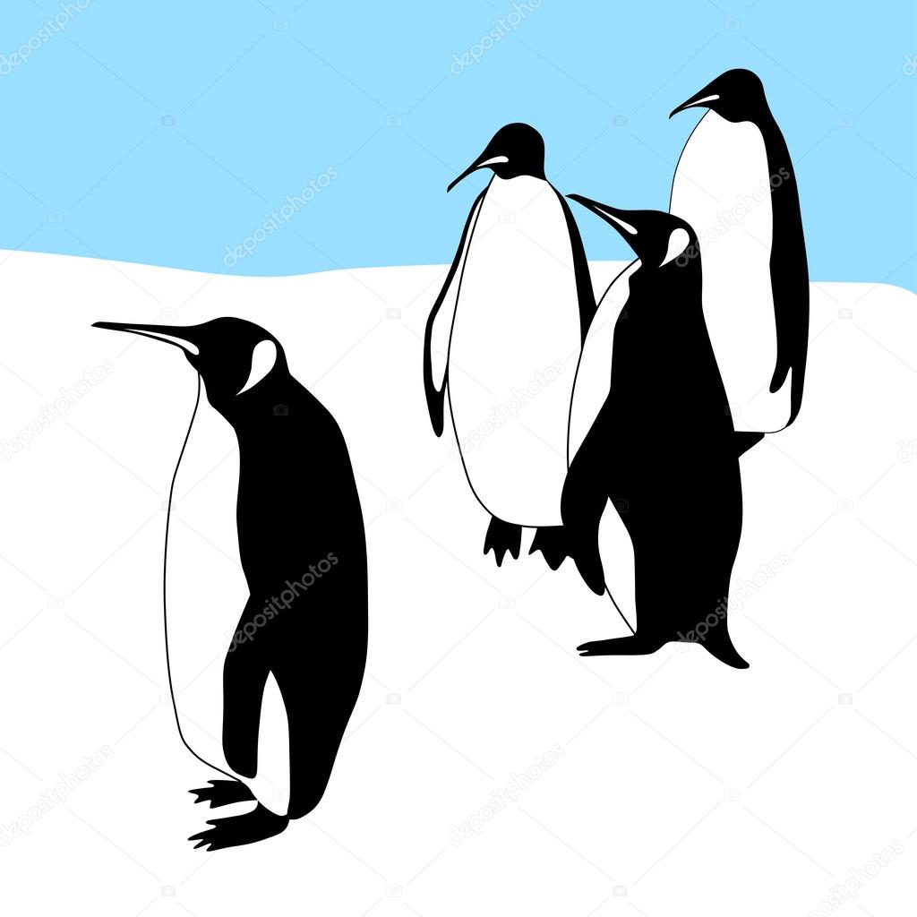 My Image 30