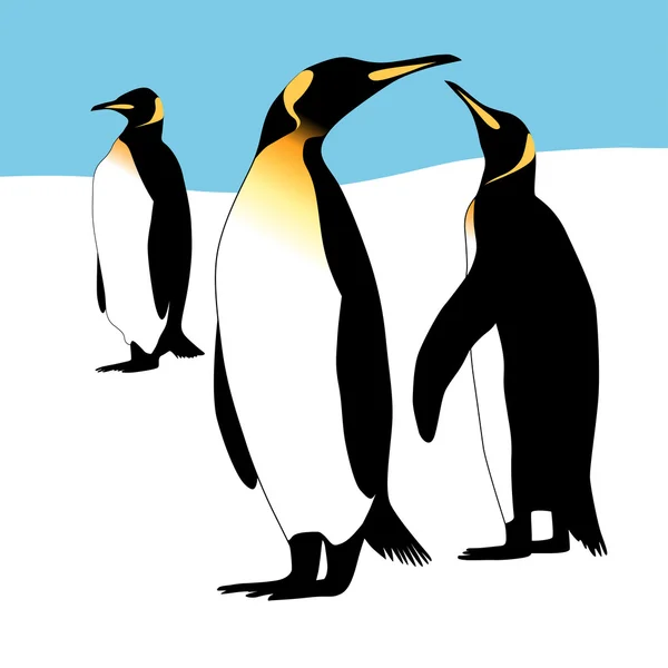 Drie pinguïns — Stockvector