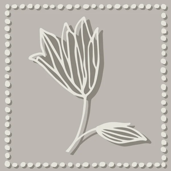 Tulipán květ — Stockový vektor