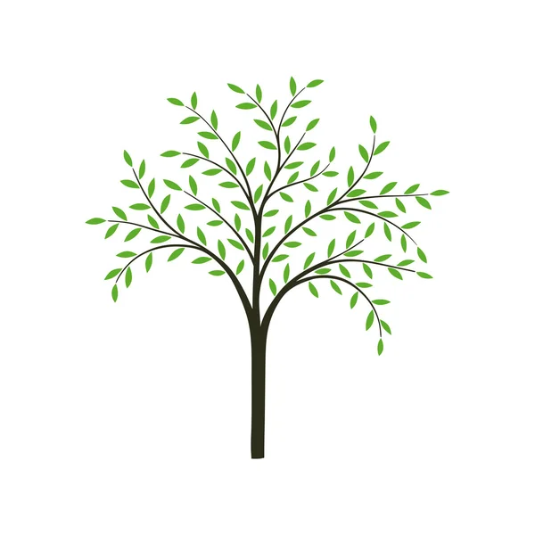 Stylized tree in vector — Stock Vector