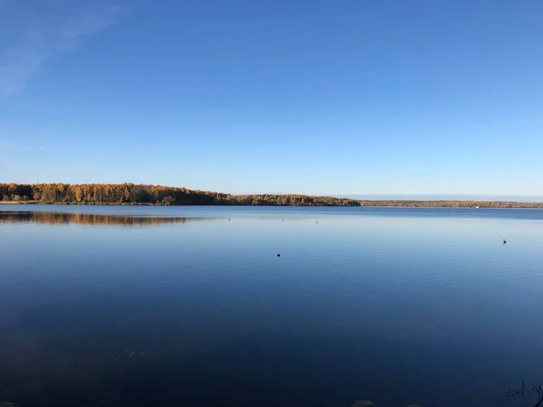 Panorama Innsjøens Senezj Høsten Solnechnogorsk – stockfoto