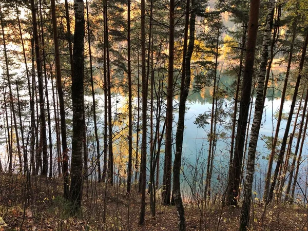 Blick Auf Den See Hinter Den Bäumen Herbst Abend — Stockfoto