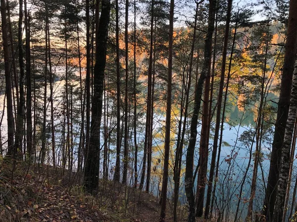 Blick Auf Den See Hinter Den Bäumen Herbst Abend — Stockfoto
