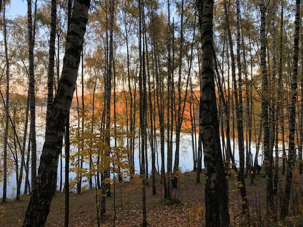 木々の後ろにある湖の景色 秋の夜 — ストック写真