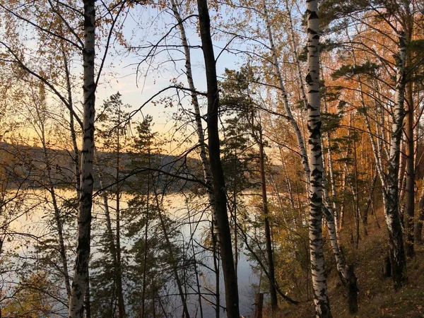 Blick Auf Den See Hinter Den Bäumen Herbst Abend — Stockfoto