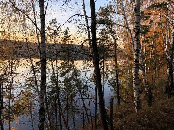 Blick Auf Den See Hinter Den Bäumen Herbst Abend — Stockfoto