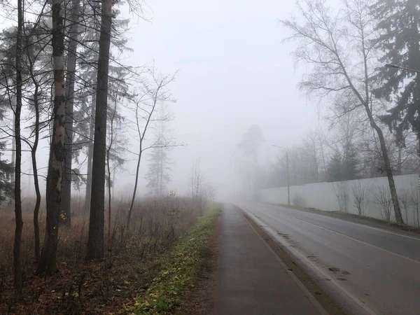 Route Asphaltée Dans Brouillard Automne — Photo