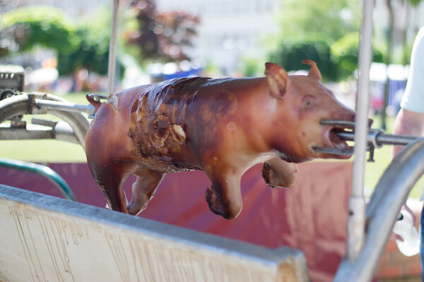 Pig on a spit