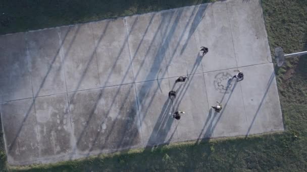 Vista aérea de las personas vistas jugando baloncesto en la cancha al aire libre — Vídeo de stock
