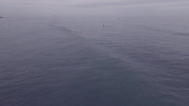 İnsansız hava aracı okyanusta kano kullanırken görüldü. 