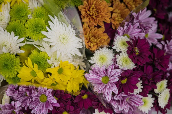 Close-up shot van het assortiment van kleurrijke bloemen — Stockfoto