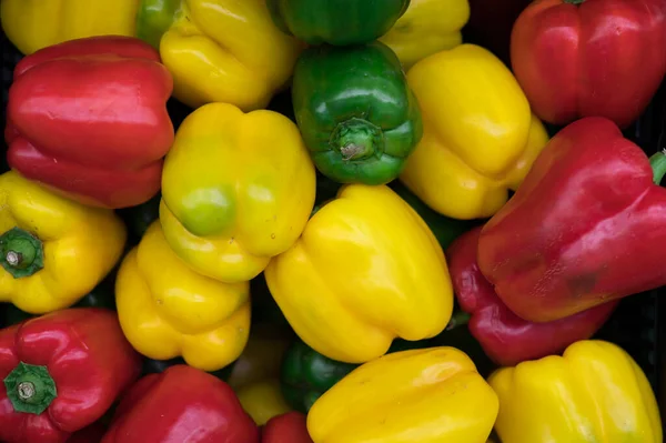 Assortment of colorful peppers shot up close Stock Photo