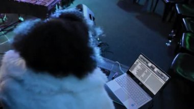 Güvertedeki kadın DJ 'in arka görünüşü