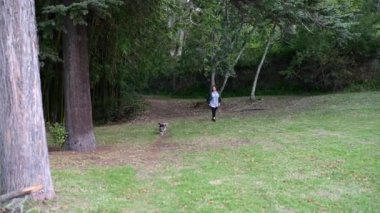 Bir kadın köpekleriyle parkta yürüyor.