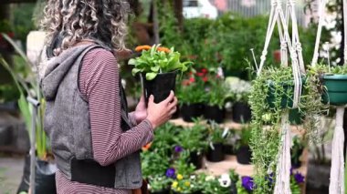 Woman going through plants at local nursery
