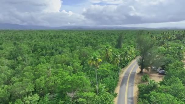 Drone Survolant Route Avec Océan Arbres Horizon — Video