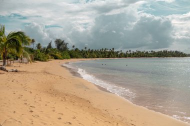 Düşük açıdan güzel tropik plaj vuruşu