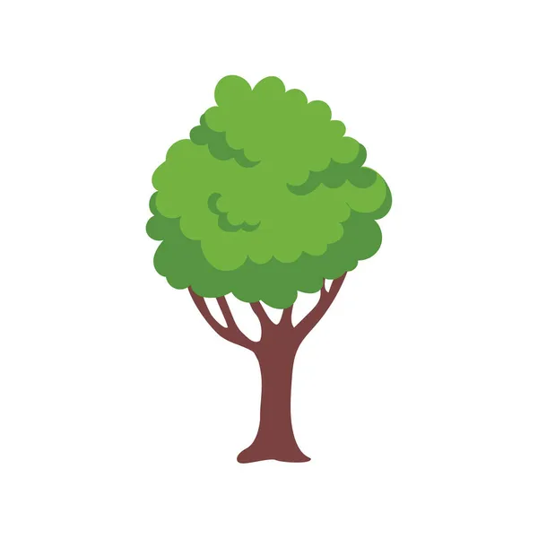 Vector Verde Elemento Del Árbol Bosque Fértil Para Decoración — Vector de stock