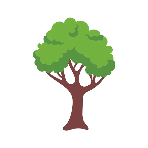 Vector Verde Elemento Del Árbol Bosque Fértil Para Decoración — Vector de stock