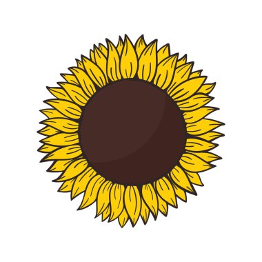 Hoş geldin kartlarını süslemek için içinde ayçiçeği tohumları olan sarı ayçiçekleri.