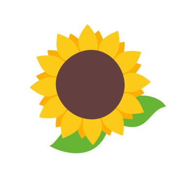 Hoş geldin kartlarını süslemek için içinde ayçiçeği tohumları olan sarı ayçiçekleri.