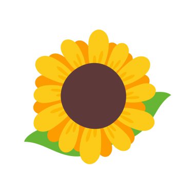 Hoş geldin kartlarını süslemek için içinde ayçiçeği tohumları olan sarı ayçiçekleri.