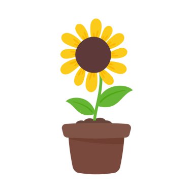 Hoş geldin kartlarını süslemek için içinde ayçiçeği tohumları olan sarı ayçiçekleri.