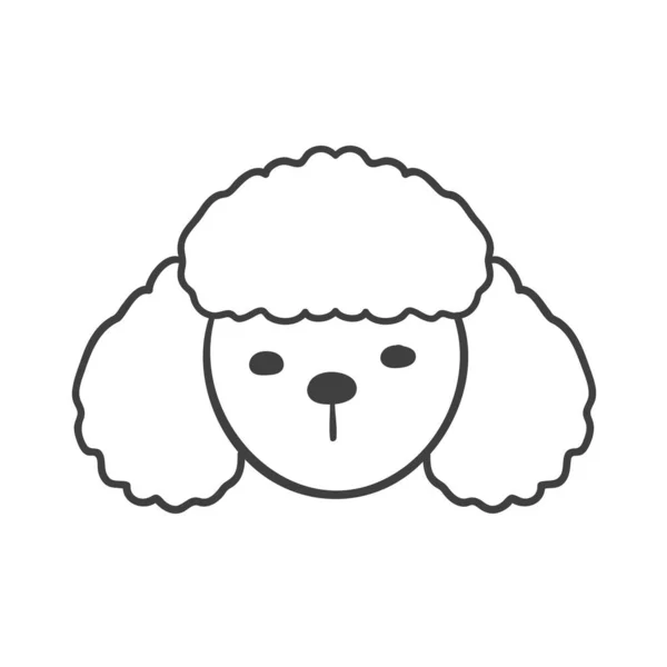 Hand Drawn Lines Face Adorable Poodle Puppy — Stock Vector