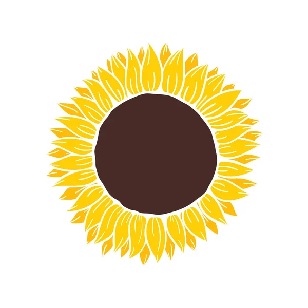 Hoş geldin kartlarını süslemek için içinde ayçiçeği tohumları olan sarı ayçiçekleri.