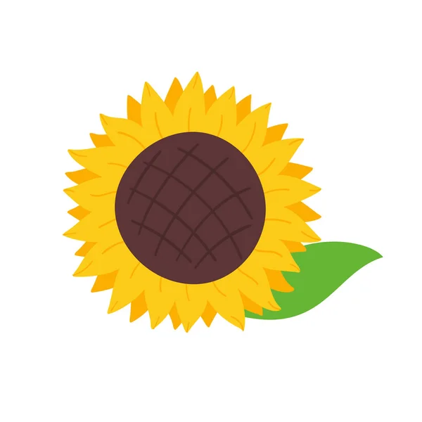 Kvetoucí Žluté Slunečnice Plné Slunečnicových Semen Uvnitř Pro Zdobení Uvítací — Stockový vektor