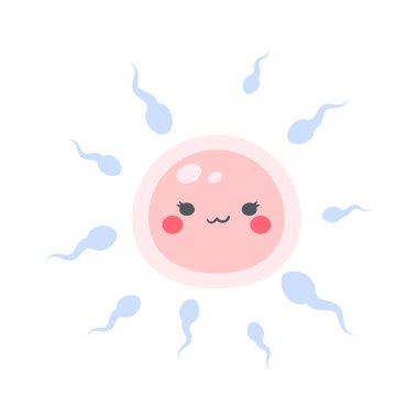 Sperm, bir kadının hamileliğini döllemek için dişi yumurtalığa girer..