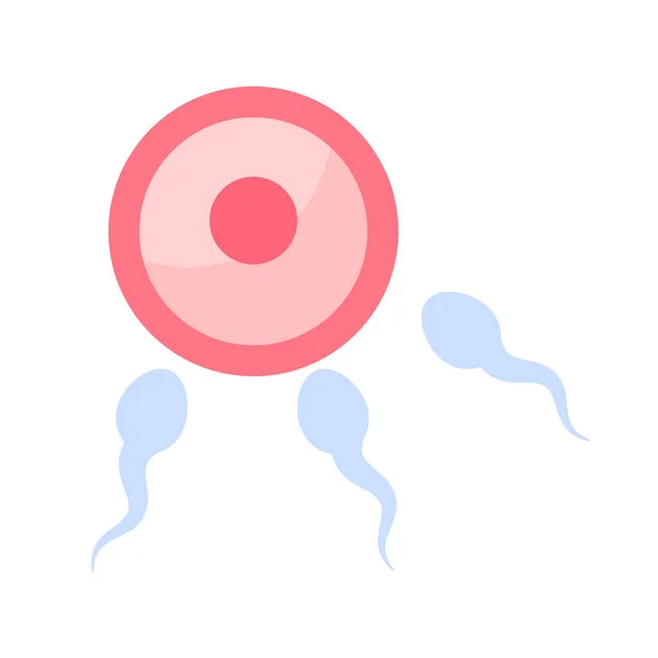 精子は女性の妊娠を受精させるために卵巣に入ります — ストックベクタ