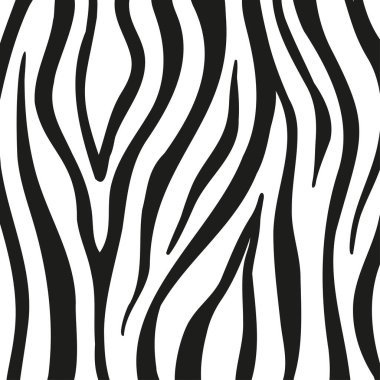 Dekorasyon grafikleri için zebranın derisindeki siyah çizgiler